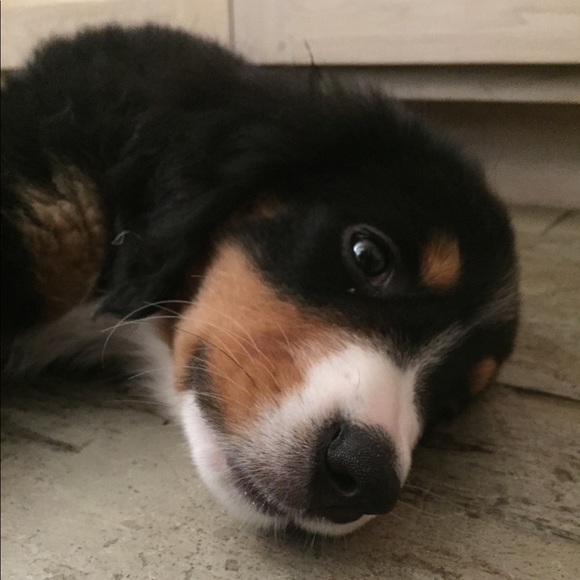 Meet your Posher, Annick - Picture 1 of 1